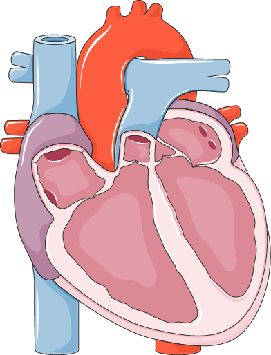 Systolic Heart Failure