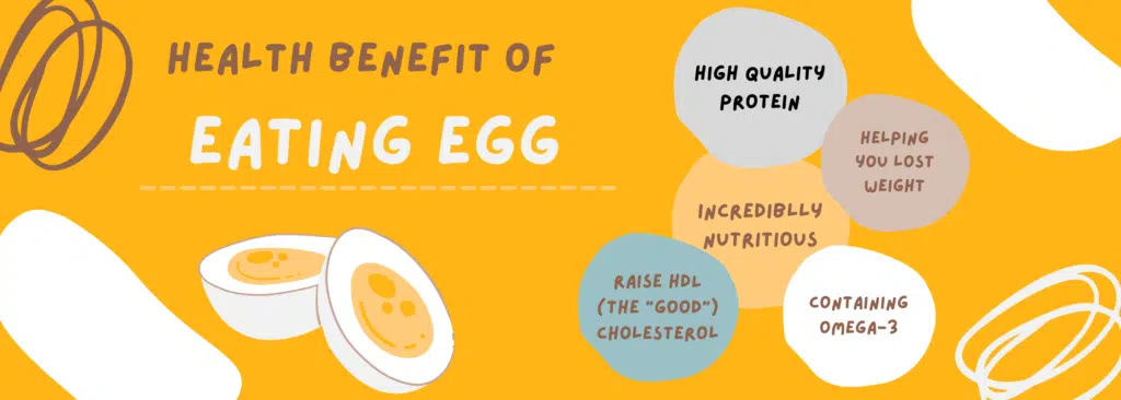 Benefits of Eggs